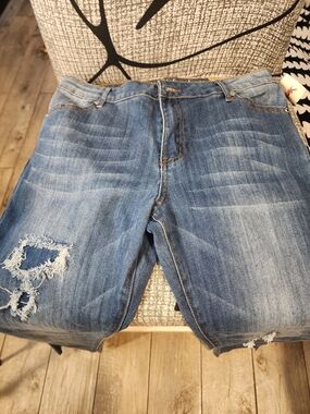 Women's Skinny Distressed Blue Jeans